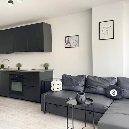 Modern And Comfortable Flat Near Palace Of Culture アパート ワルシャワ