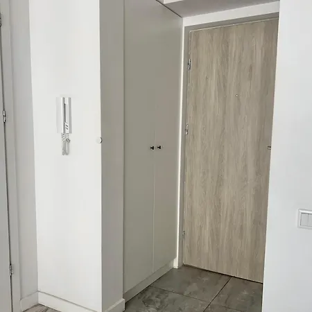 Modern And Comfortable Flat Near Palace Of Culture アパート ワルシャワ